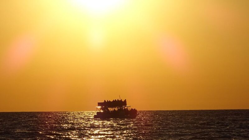 Panama City: Sunset Dolphin Cruise in St. Andrews Bay - Final Thoughts