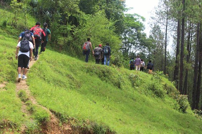 Panauti to Namobuddha day hiking and excursion - What to Expect: Practical Details and Tips