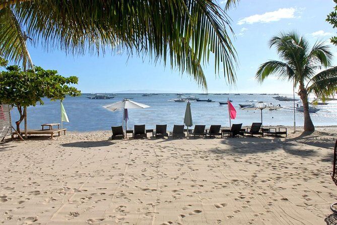 Panglao Island Tour - Frequently Asked Questions