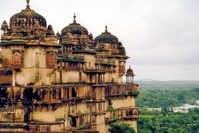 Panna National Park Tiger Safari with Transfer from Khajuraho - Final Thoughts