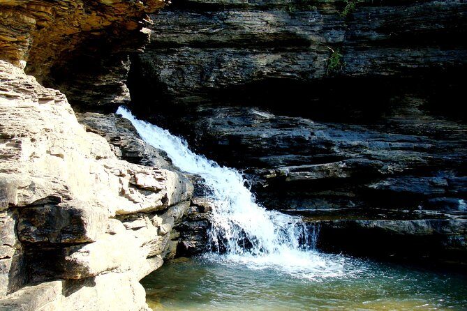 Panna Tiger Reserve Tour from Khajuraho - Introduction: What to Expect from the Panna Tiger Reserve Tour
