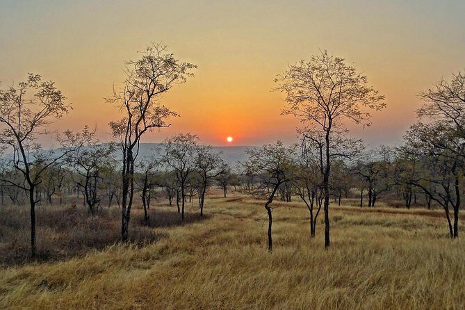 Panna Tiger Reserve Tour from Khajuraho - Who Is This Tour Best For?