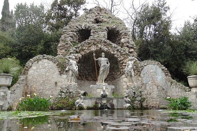 Panorama Dubrovnik & Arboretum Trsteno PRIVATE TOUR - The Experience in Detail