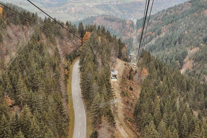 Panorama Hike through the Black Forest guided by a Local - Who Is This Tour Best Suited For?