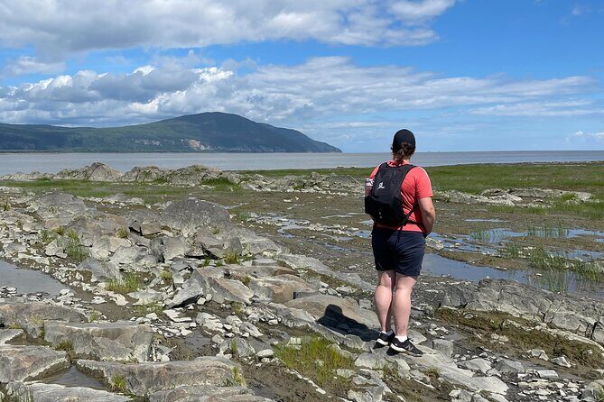Panoramic and historical tour of the Île d'Orléans - Exploring the Île dOrléans: A Perfect Blend of Scenic Views and Local Charm