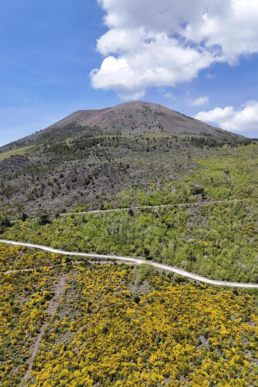 Panoramic path of Strada Matrone-Vesuvio - The Experience in Detail