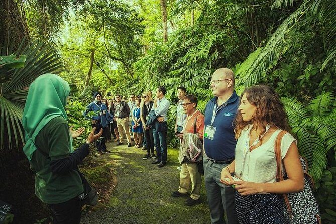 Panoramic Penang Hill & The Habitat Nature Discovery - Discovering Penang Hill’s Charm