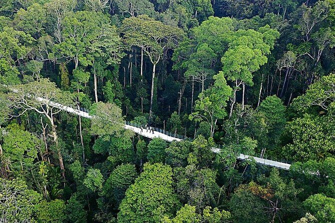 Panoramic Penang Hill & The Habitat Nature Discovery - Transportation and Logistics