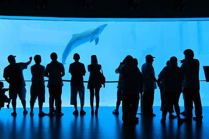 Panoramic Sightseeing Bus City Tour of Veracruz - Authentic Experiences and Considerations