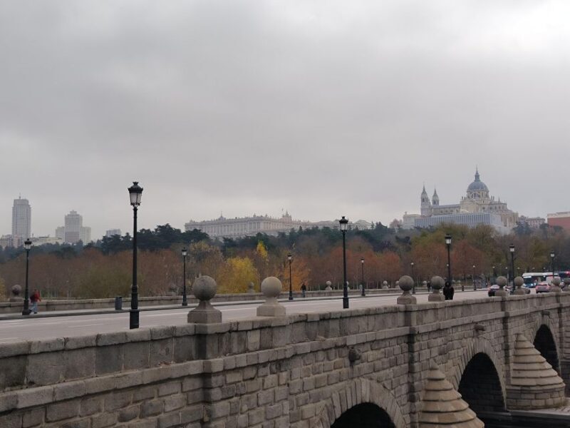 Panoramic Tour of Madrid with Private Guide and Private Car - Key Points