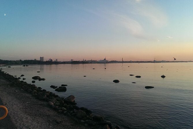 Panoramic tour over Tallinn by car - Why You’ll Love This Tour