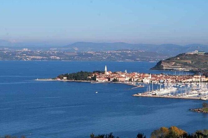 Panoramic Tour to Piran with Sweet Surprise - Who Is This Tour Best For?