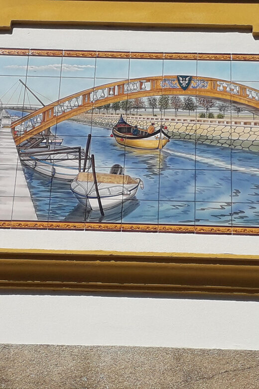 Panoramic Walk in Moliceiro 45 m + Walk in Aveiro 1 hour - A Deep Dive Into the Aveiro Experience