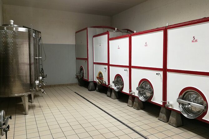 Panoramic wine tasting in Oltrepò Pavese - Final Thoughts