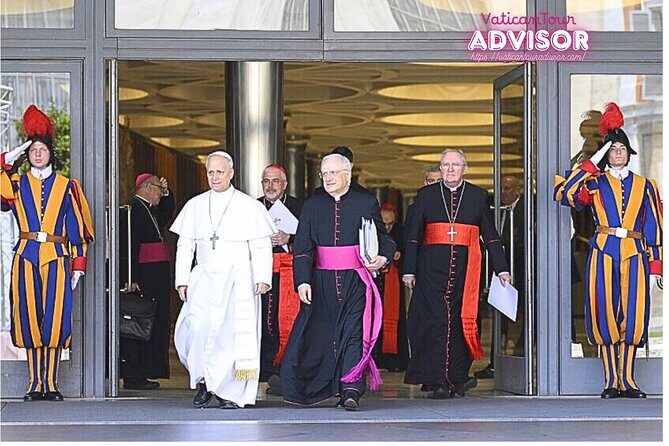 Papal Audience with Pope Leo XIV Exclusive Guided Experience - Who Is This Tour Best For?