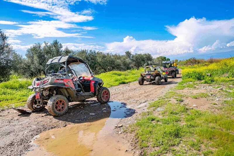 Paphos: 4x4 ATV & Buggy Safari Tour to Aphrodite's Rock - Key Points