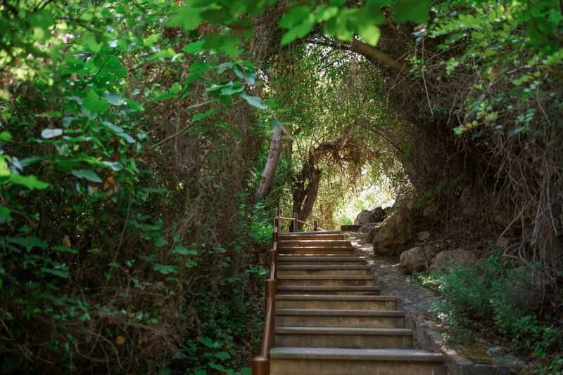 Paphos/Akamas: Blue Lagoon Bus & Boat Tour with Water Slide - Practical Tips for Future Travelers