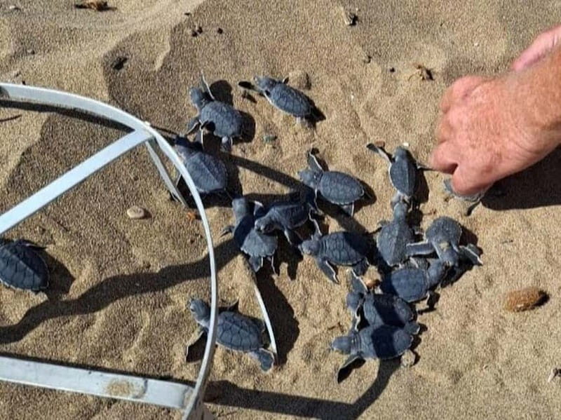 Paphos :Akamas Jeep Safari with cruise to the Blue Lagoon - Practical Details That Matter