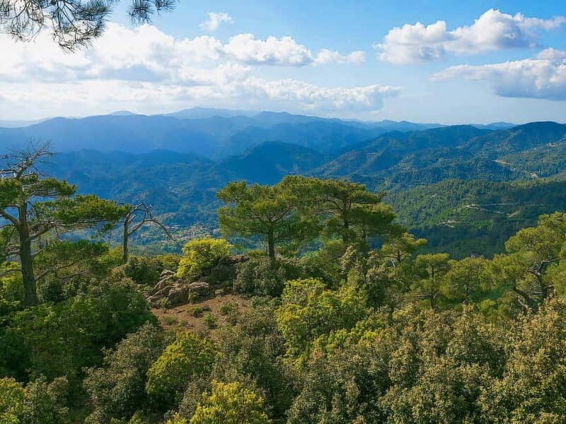 Paphos: Beauty, Nature and Charm of Troodos Mountains - Exploring the Troodos Mountains