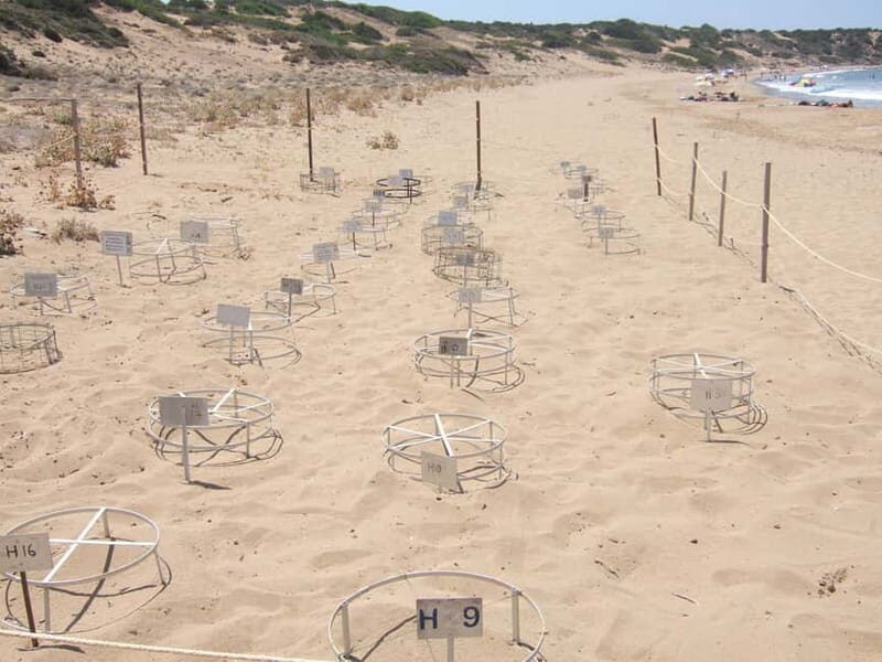 Paphos: Land Rover Jeep Safari Coastal Tour and Blue Lagoon - FAQs