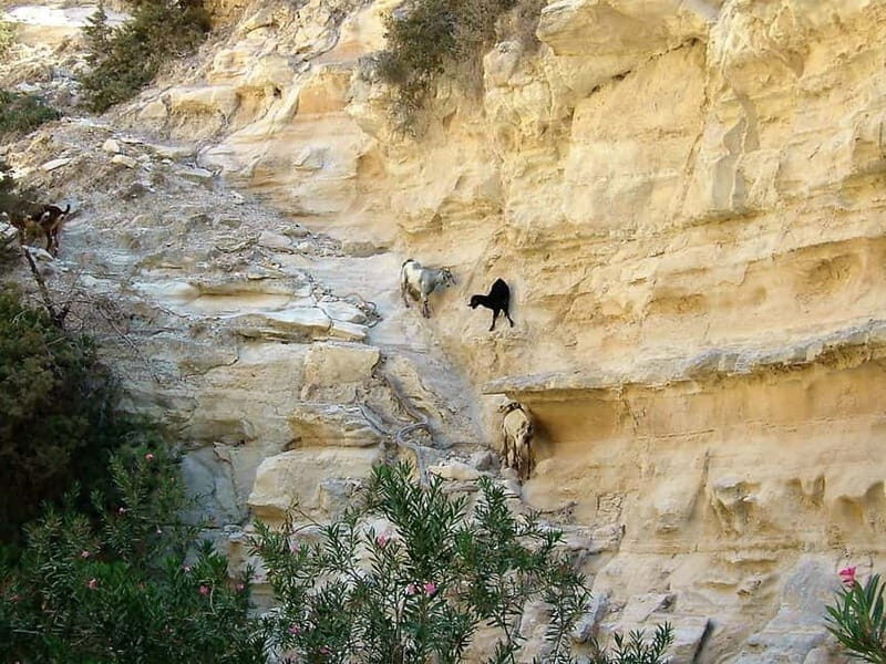 Paphos: Land Rover Jeep Safari Coastal Tour and Blue Lagoon - Final Thoughts