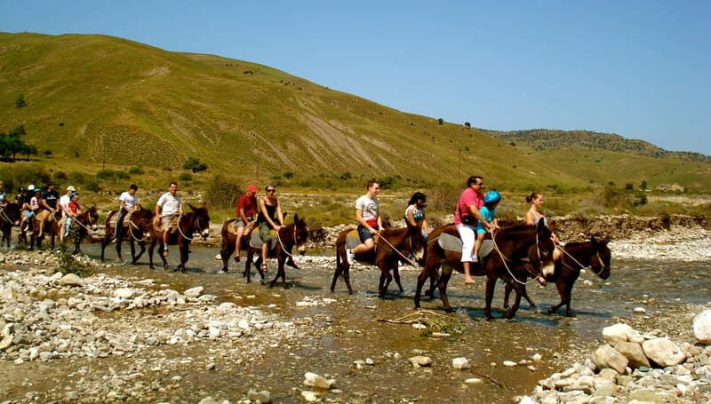 Paphos/Limassol: Donkey Farm Day Trip with Lunch & Tastings - Key Points