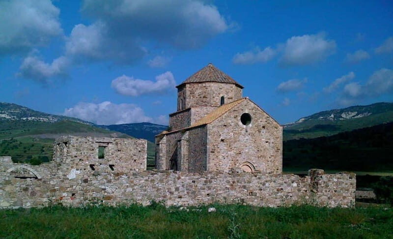 Paphos/Limassol: Donkey Farm Day Trip with Lunch & Tastings - What to Expect from the Tour