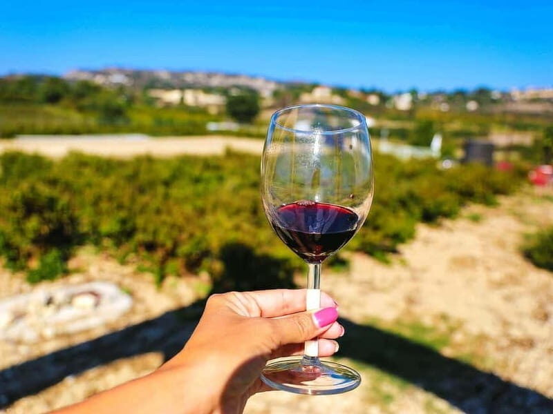 Paphos: Local Wineries Tour with Wine Tastings - Exploring Cyprus Through Its Wineries: A Deep Dive into the Paphos Local Wineries Tour