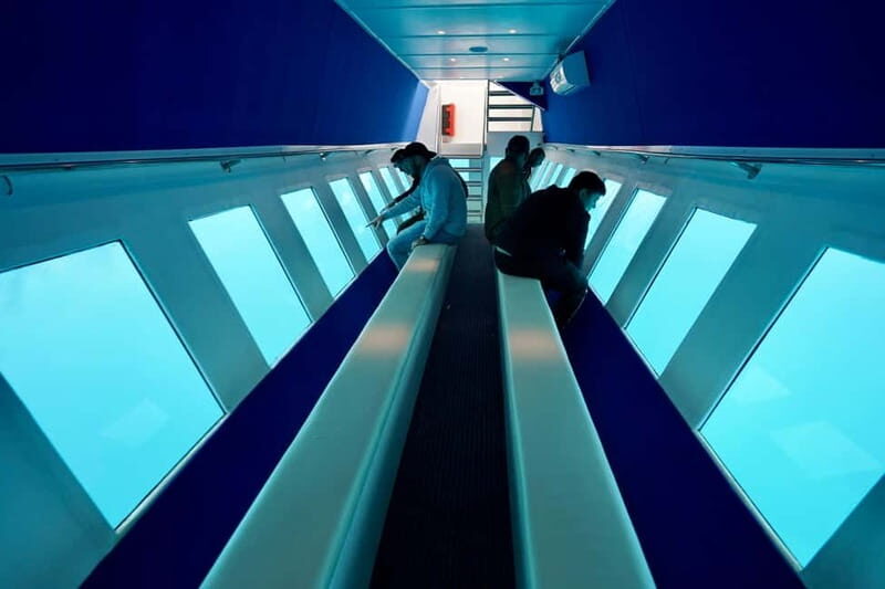 Paphos: Sunset Cruise, Turtle Watching, & Unlimited Drinks - Key Points