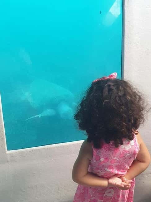 Paphos: Sunset Cruise, Turtle Watching, & Unlimited Drinks - What Makes This Sunset Cruise Special?