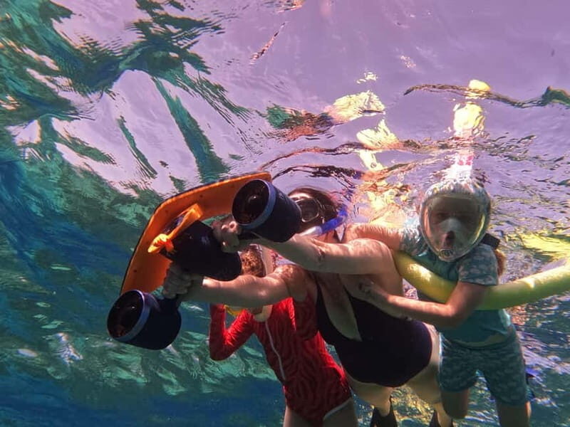 Paphos: Turtle-Watching Snorkeling Sea Scooter Trip - The Experience from the Reviewers’ Perspective