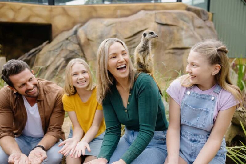 Paradise Country: Ultimate Aussie Farm Experience - An Authentic Experience of Australian Rural Life