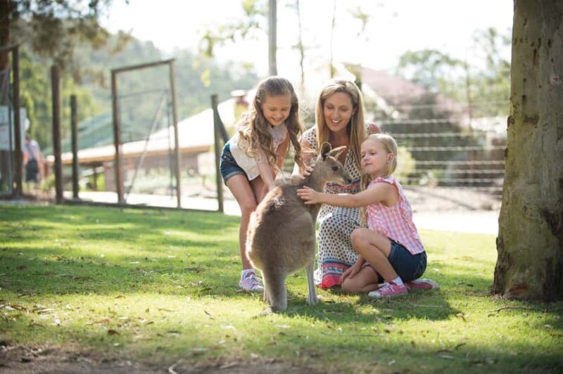 Paradise Country: Ultimate Aussie Farm Experience - Animal Encounters and Additional Attractions