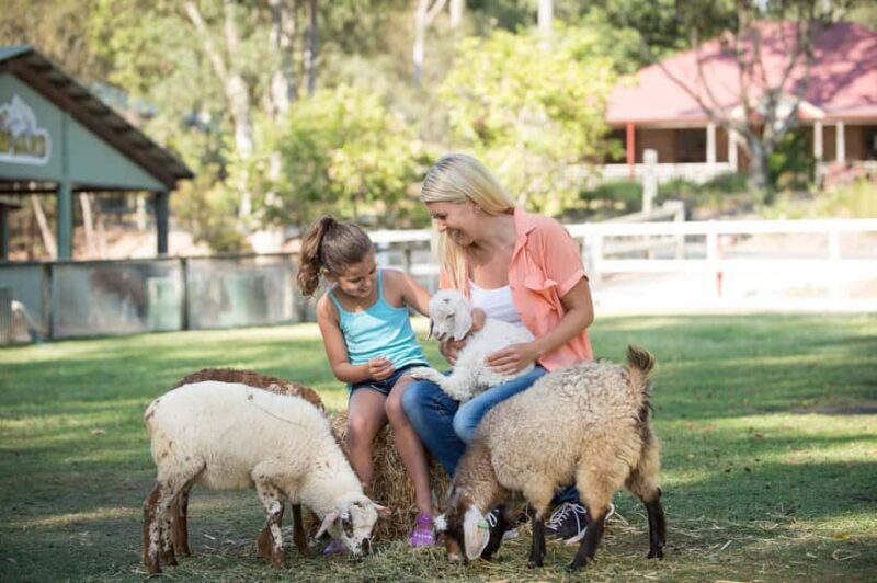 Paradise Country: Ultimate Aussie Farm Experience - The Sum Up