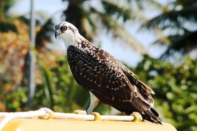 Paradise Islands Tour: Isla Contoy and Isla Mujeres - Returning to Cancun