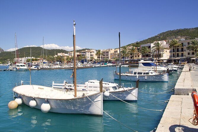 Paradise Tour 4h in Catamaran through Mallorca and Puerto Andratx with Lunch - The Sum Up