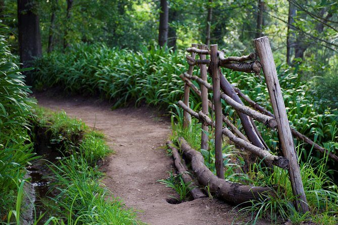 Paradise Valley Beauty Walk - A Detailed Look at the Paradise Valley Beauty Walk