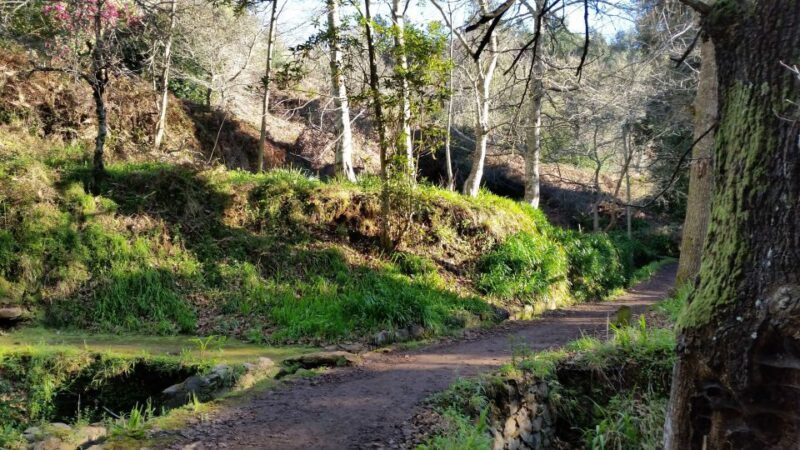 Paradise Valley half-day morning walk. - Key Points