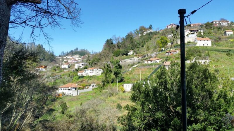 Paradise Valley half-day morning walk. - An In-Depth Look at the Paradise Valley Walk