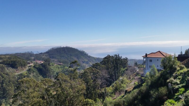 Paradise Valley half-day morning walk. - FAQ