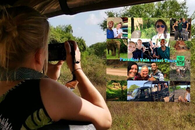 Paradise Yala Safari Tours - A Deep Dive into Paradise Yala Safari Tours