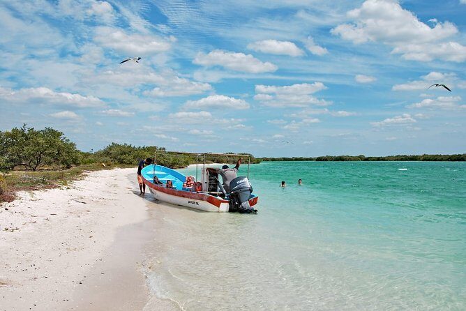 Paradisiacal tour: Las Coloradas Pink Lake and Rio Lagartos with Lunch included. - Who Should Consider This Tour?