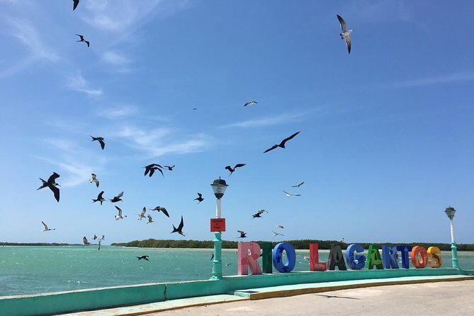 Paradisiacal tour: Las Coloradas Pink Lake and Rio Lagartos with Lunch included. - Final Thoughts