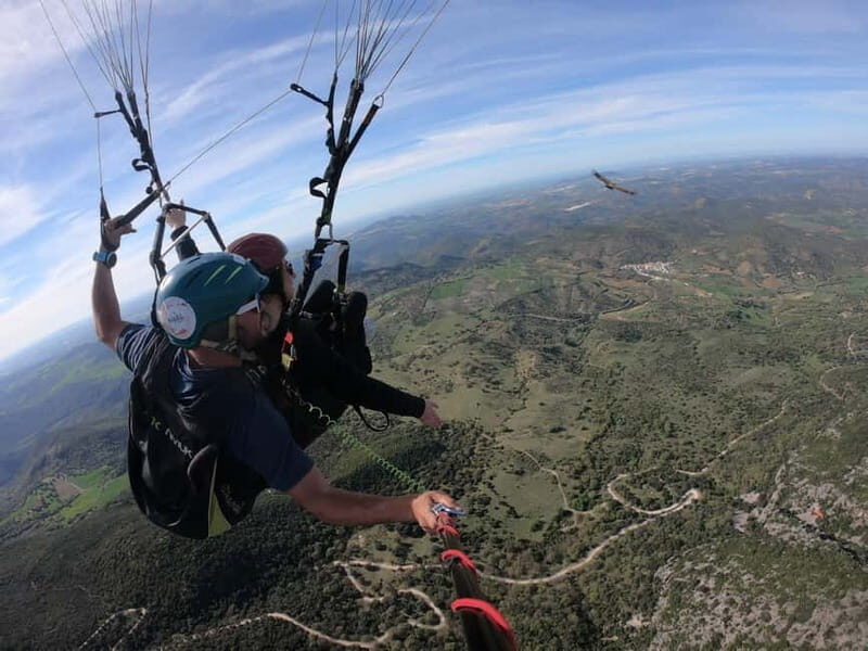 Paragliding: near Ronda (Málaga) - Authenticity and Additional Insights from Reviews