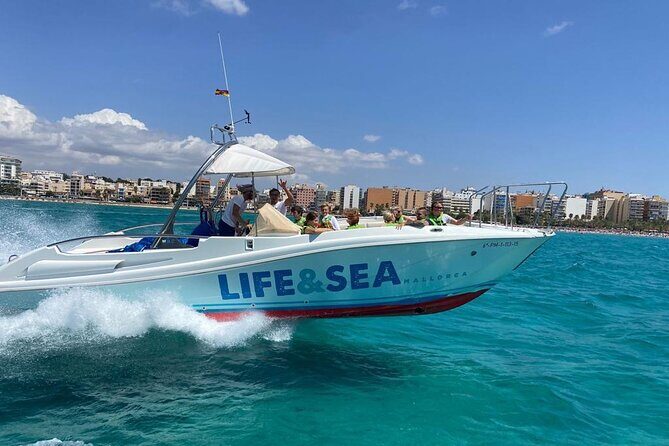 Parasailing in the Bay of Palma - Key Points