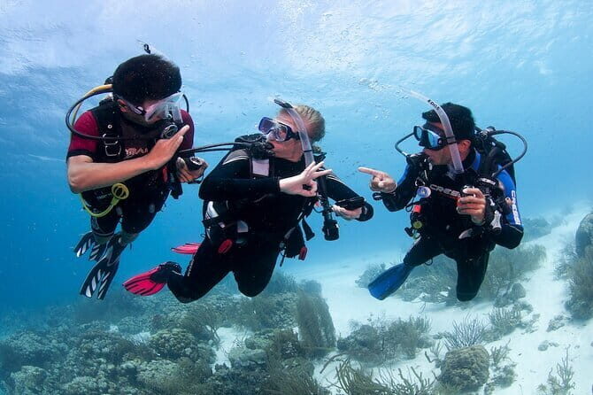 Paraw Sailing Day Tour - Who Should Book This?