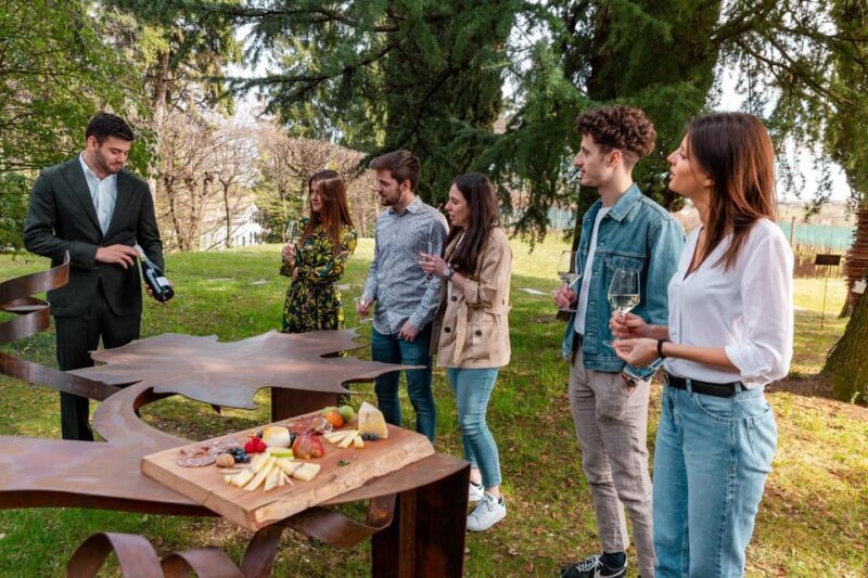 PARCO DELLA FILANDETTA WINE & ART FARM : ART&NATURE TOUR - Practical Details and What to Consider