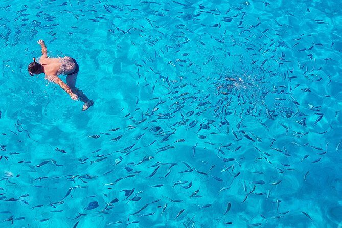 Parga & Sivota Islands Blue Lagoon Cruise from Corfu - Who Should Consider This Tour?