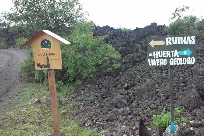 Paricutin Volcano Tour (Morelia) - Authenticity and Reviews