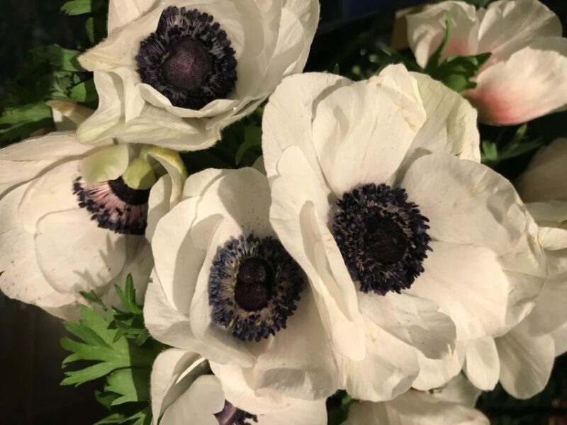 Paris 1h30-Hour Perfume Walking Tour - The Sum Up